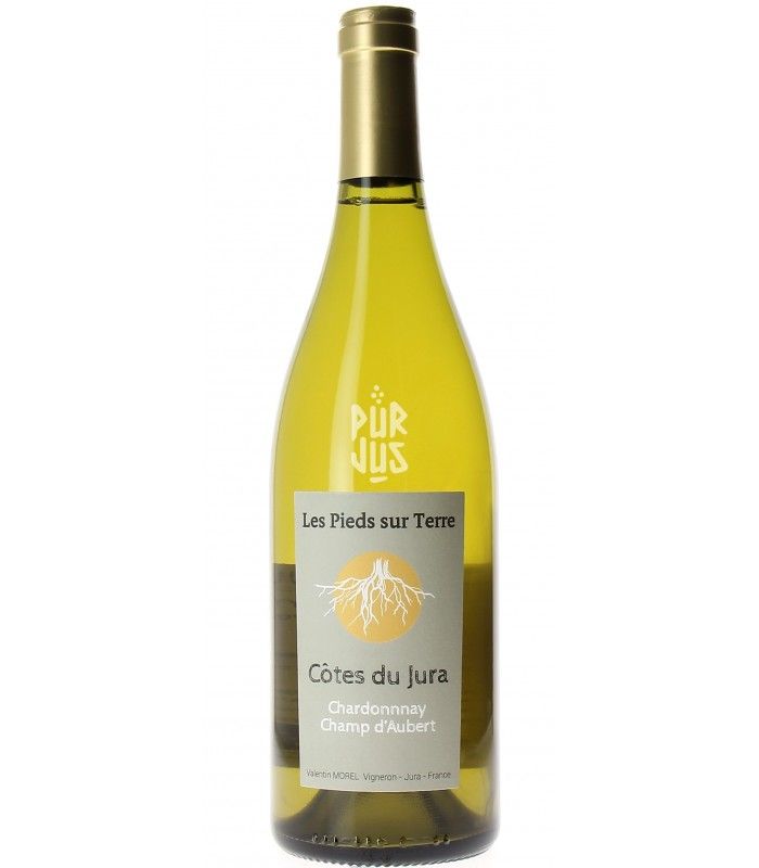 Chardonnay Champ D'Aubert - 2020 - Valentin Morel