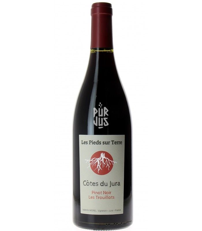 Pinot Noir Les Trouillots - 2020 - Valentin Morel
