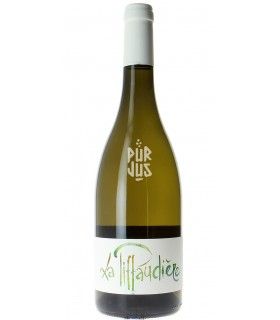Sauvignon - 2022 - Olivier Bellanger