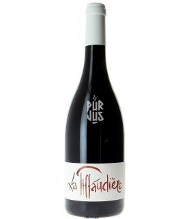 Gamay - 2023 - Olivier Bellanger