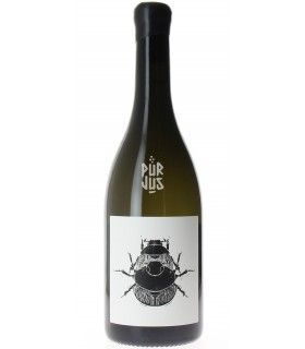 Puligny Montrachet "Superposition" - 2021 - Vin Noé