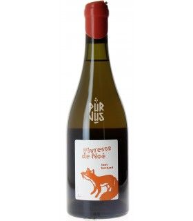 L'ivresse de Noé - 2018 - Tony Bornard