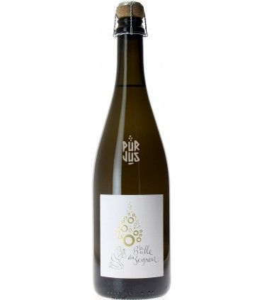 La Bulle du Seigneur - 2022 - Bernard Duseigneur