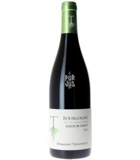 Bourgogne "Fleur de Pinot" - 2021 - Morgan et Julie Truchetet