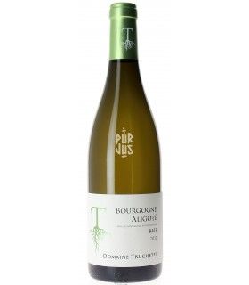 Bourgogne Aligoté "Baie" - 2021 - Morgan et Julie Truchetet