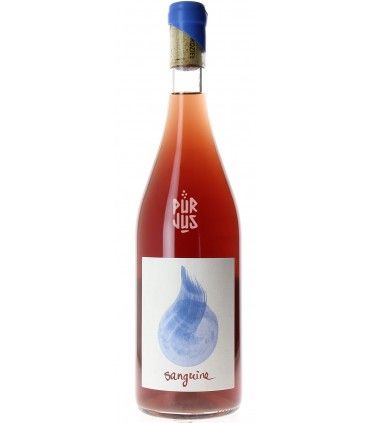 Sanguine - 2024 - Sophie et Clément Maire Kurdziel