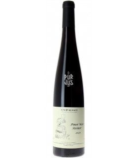 Pinot Noir Steiner - 2020 - Jean François Ginglinger