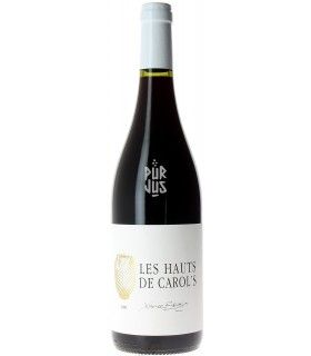 Les Hauts de Carol's - 2020 - Xavier Braujou