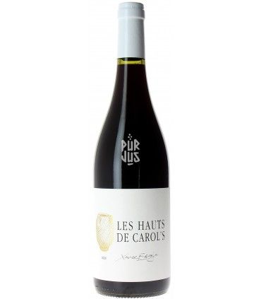 Les Hauts de Carol's - 2020 - Xavier Braujou