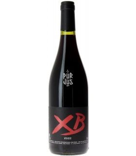 XB - 2022 - Xavier Braujou