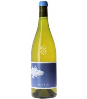 Bleu ciel - 2022 - Julien Mary