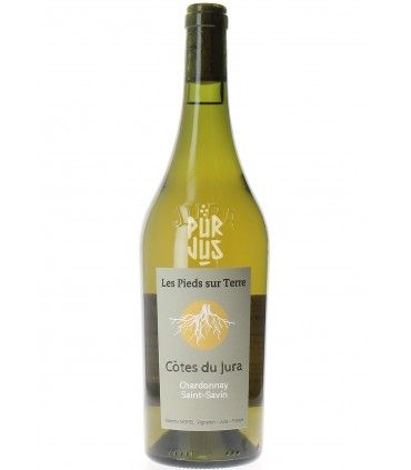 Chardonnay Saint Savin - 2020 - Valentin Morel