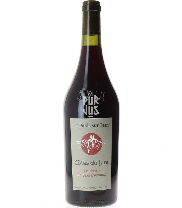 Poulsard En Bois d'Arnaux - 2022 - Valentin Morel