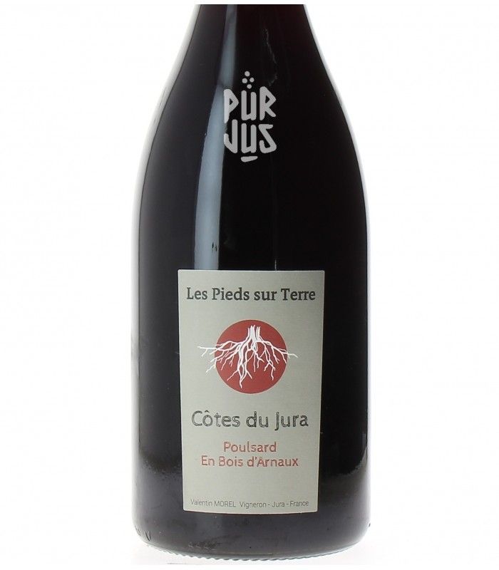 Poulsard En Bois d'Arnaux - 2022 - Valentin Morel - Magnum