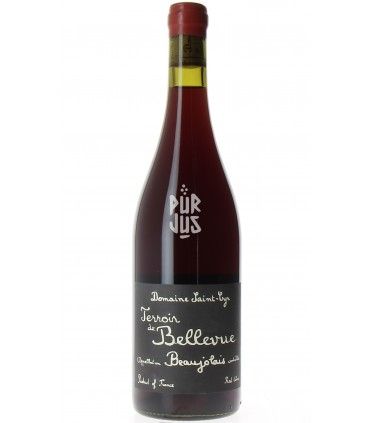 Terroir de Bellevue - 2022 - Raphaël Saint-Cyr