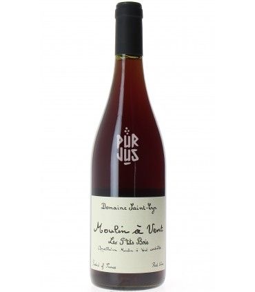 Moulin à Vent Les P'tits Bois - 2023 - Raphaël Saint-Cyr