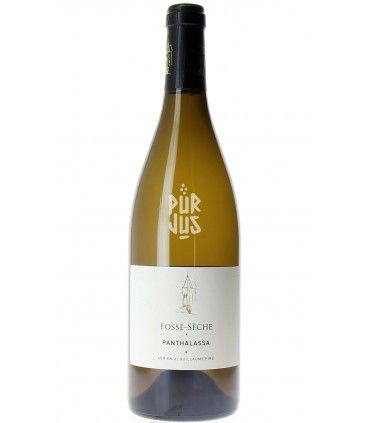 Panthalassa - 2020 - Adrien et Guillaume Pire