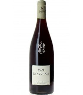 Vin Rouge Nouveau du Tue Boeuf - 2023 - Thierry Puzelat