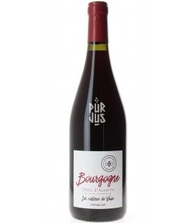 Côtes d'Auxerre Pinot Noir - 2021 - Edouard Lepesme