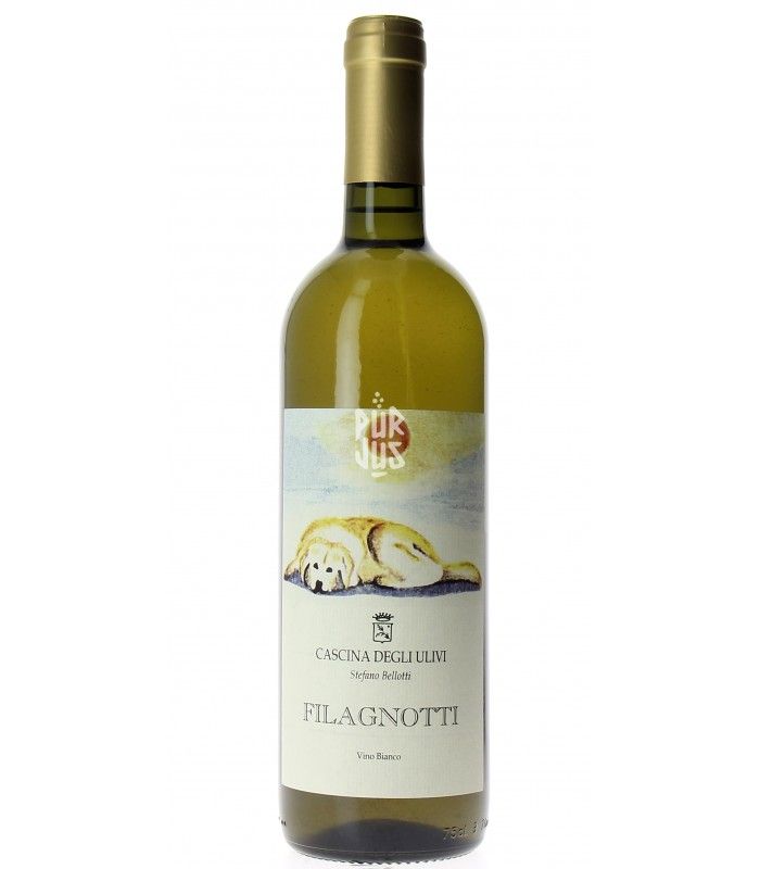 Filagnotti - 2023 - Cascina degli Ulivi