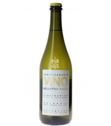 Semplicemente Vino Bianco - 2025 - Ilaria Bellotti