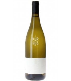 Bourgogne Blanc - 2023 - Jean Louis Trapet