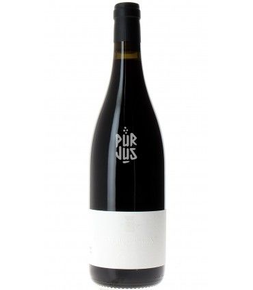 Bourgogne Rouge - 2023 - Jean Louis Trapet