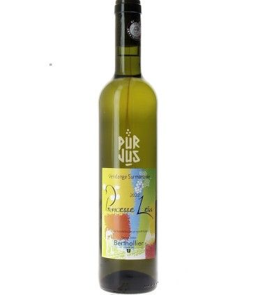 Princesse Leïa - 2022 - Denis et Didier Berthollier