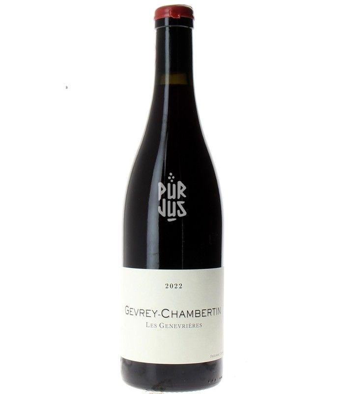 Gevrey Chambertin Les Genevrières Qvevris - 2022 - Frédéric Cossard