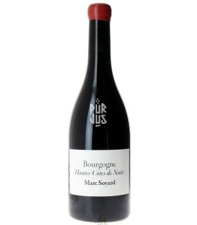 Hautes Côtes de Nuits - 2021 - Marc Soyard