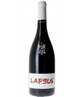 Lapsus - 2024 - Olivier Bellanger