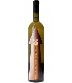 Bianco - 2022 - Gabrio Bini