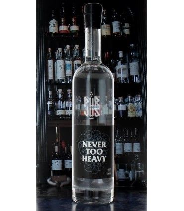 Never Too Heavy - 2021 - Vincent Marie