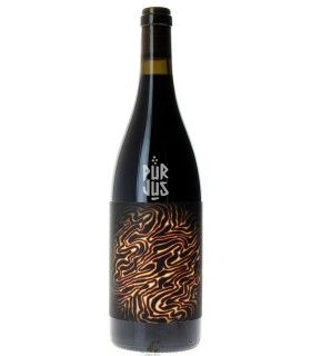 Magma - 2022 - Maxime Roze