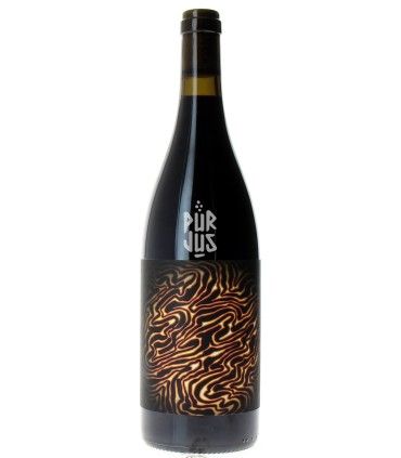 Magma - 2022 - Maxime Roze