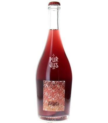 Euphoria - 2023 - Maxime Roze