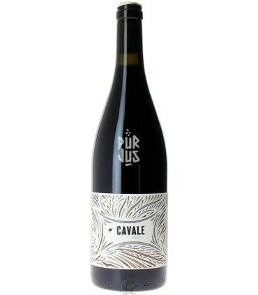 Cavale - 2022 - Pauline et Pierre-Olivier Laurent