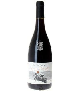 Gamay Poursuite - 2023 - Antoine Sunier