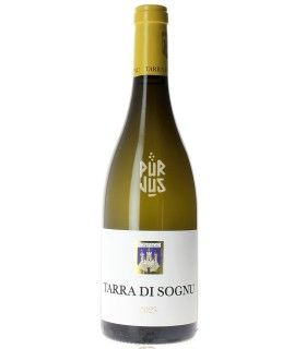 Tarra Di Sognu Blanc - 2023 - Yves Canarelli