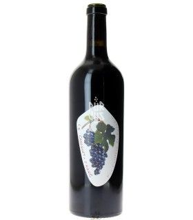 Cabernet Franc - 2019 - Claude Courtois