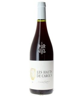 Les Hauts de Carol's - 2021 - Xavier Braujou