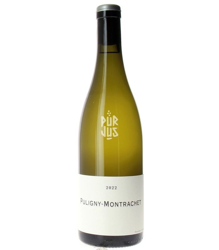photo Puligny Montrachet 2022 Frédéric Cossard