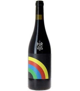 Arc en ciel - 2023 - Sébastien Agelet