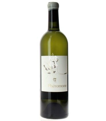 Phéromone Blanc - 2023 - Osamu Uchida