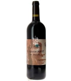 Grain Pinot "Les Esserts" - 2022 - Marie Thérèse Chappaz