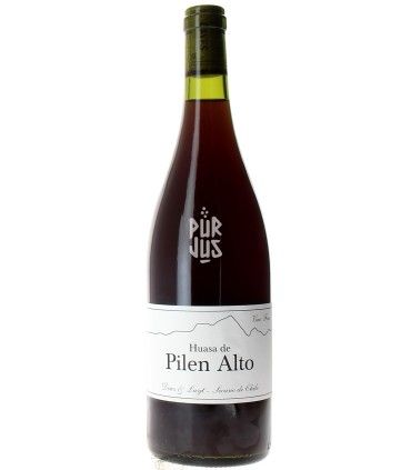 Huasa de Pilen Alto - 2022 - Louis Antoine Luyt