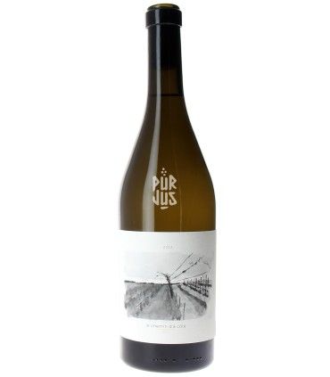 Le chemin d'à côté - 2023 - Jérôme François et Morgane Stoquert