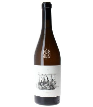 Lumière d'été - 2023 - Jérôme François et Morgane Stoquert