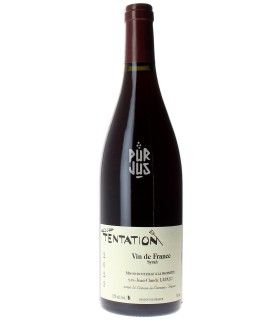 Tentation Syrah - 2023 - Jean Claude Lapalu