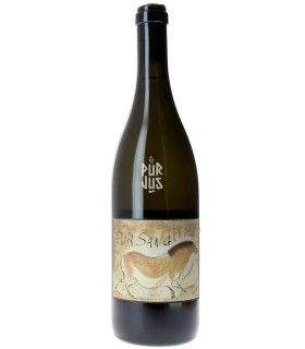 Pur sang - 2020 - Louis Benjamin Dagueneau